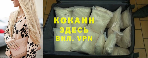 spice Бородино