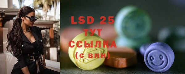 spice Бородино