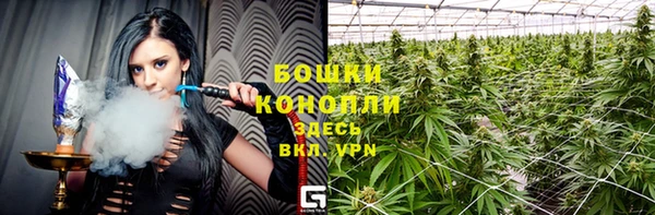 spice Бородино