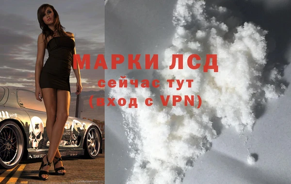 spice Бородино