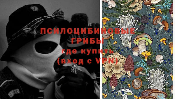 spice Бородино