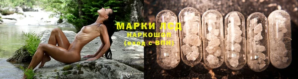 spice Бородино
