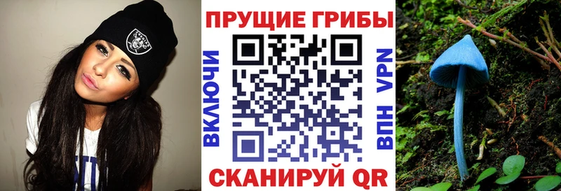 ссылка на мегу зеркало  Северобайкальск  Псилоцибиновые грибы мицелий 