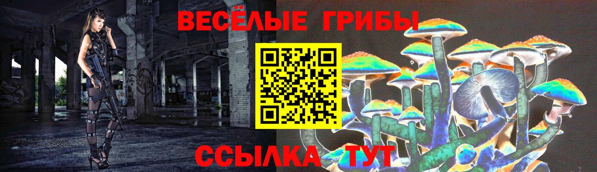 Галлюциногенные грибы Magic Shrooms Северобайкальск