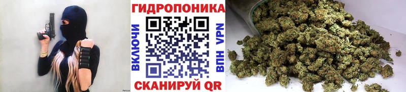 Марихуана OG Kush  Северобайкальск 